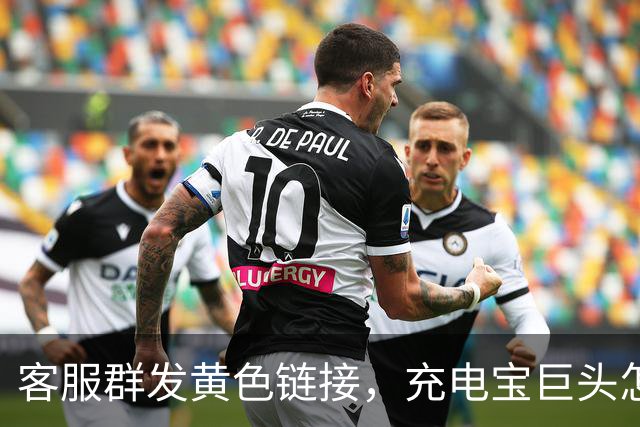 客服群发黄色链接，充电宝巨头怎么了？